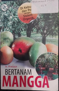 Bertanam Mangga