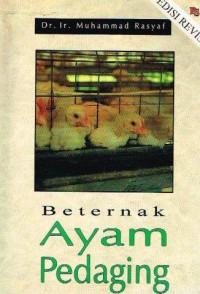 Beternak Ayam Pedaging