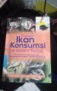 Panen Ikan Konsumsi Di Kolam Terpal